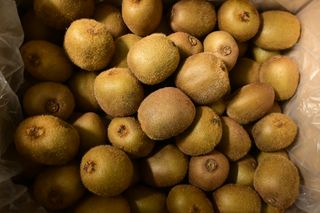 KIWIFRUIT GREEN- 10KG CARTON