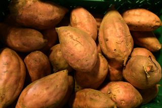 KUMARA ORANGE BEAUREGARD -20KG CRATE