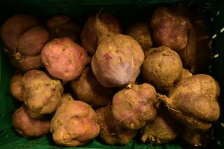 KUMARA RED -  20KG CRATE