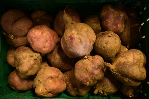 KUMARA RED -  20KG CRATE