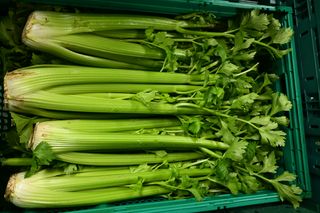CELERY - 12 COUNT CRATE