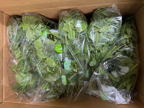 SPINACH BABY 3KG ( 6X500GM BAGS ) CARTON