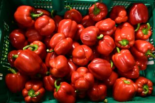 CAPSICUM RED LOOSE 8KG