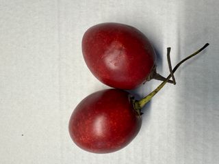 TAMARILLO LOOSE - LOCALLY GROWN