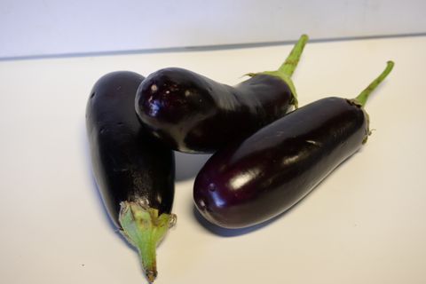 AUBERGINE ( EGGPLANT )