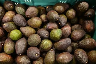 AVOCADO PRE RIPENED (50 COUNT) NZ