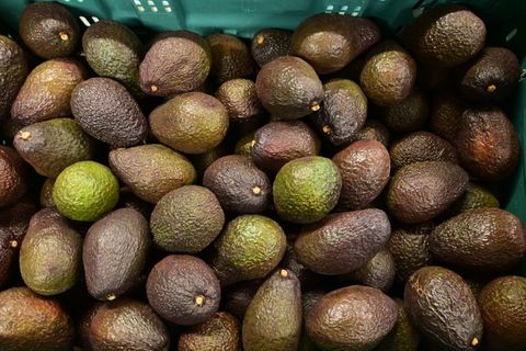 AVOCADO NZ -PRE-RIPENED ( 36 COUNT CARTON )