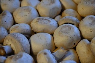 MUSHROOM WHITE  BUTTON - GRADE 1 - RANDOM WEIGHT