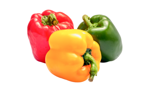 CAPSICUM - COLOURED MIXED RANDOM WEIGHT