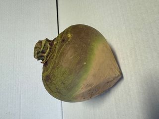 SWEDE - LOCALLY GROWN