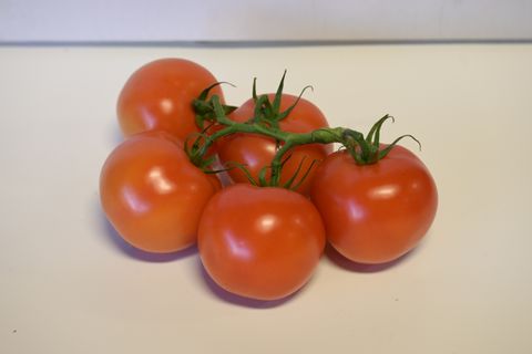 TOMATOES TRUSS -  LOCALLY GROWN
