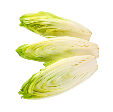 WITLOOF GREEN - LOCALLY GROWN