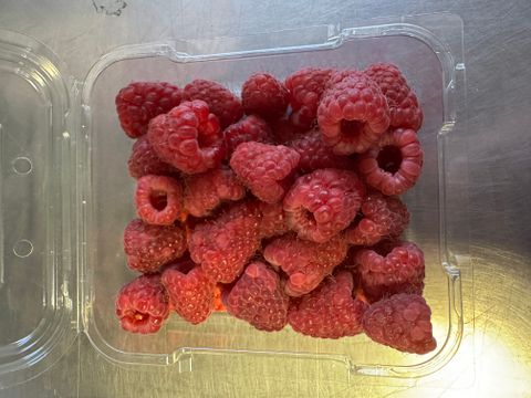 RASPBERRY PUNNET  - LOCALLY GROWN