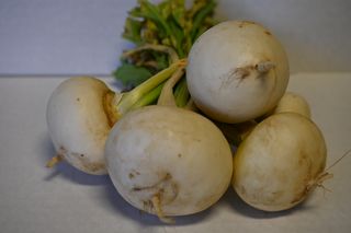 TURNIPS- WHITESTONE LOCALLY GROWN