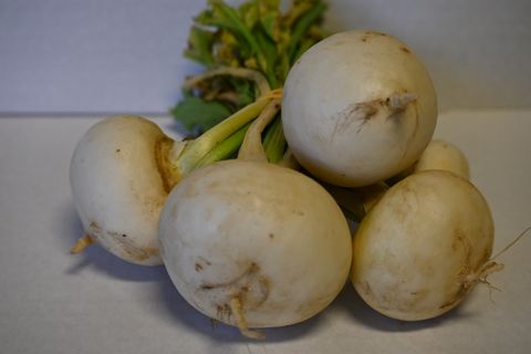 TURNIPS- WHITESTONE LOCALLY GROWN