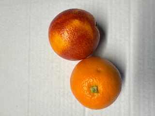 ORANGE - BLOOD ORANGE IMPORTED