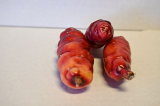 YAMS RED - LOCALLY GROWN