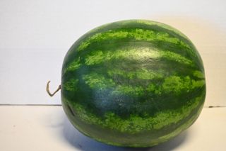 MELON WATERMELON -  IMPORT