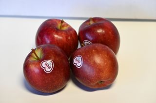 APPLE RED EVE -  NEW SEASON
