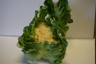 CAULI FLOWER LOCAL NZ