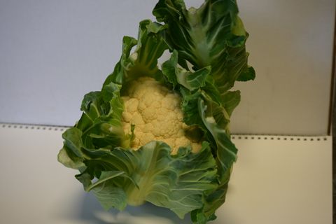 CAULIFLOWER LOCAL NZ