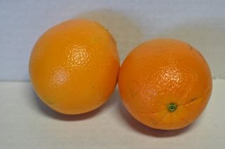ORANGES AUSTRALIAN  TAG1