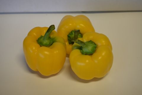 CAPSICUM YELLOW LOOSE - LOCALLY GROWN