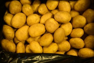 POTATO  AGRIA - WASHED LARGE 15KG CRATES