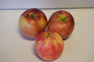 APPLES JUICING