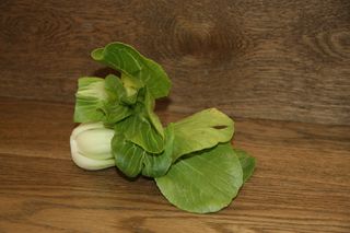 BOK CHOI - SHANGHAI TWIN PACKS