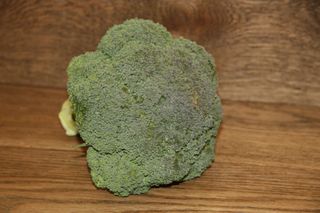 BROCCOLI HEADS NEW ZEALAND