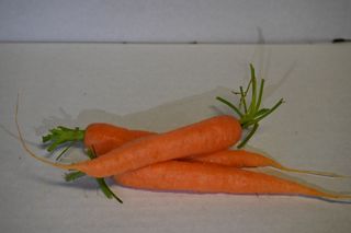 CARROTS - ORANGE BABY 1KG