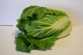 CABBAGE CHINESE