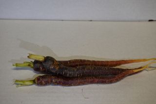 CARROT PURPLE BABY LOCAL - 500GM BG