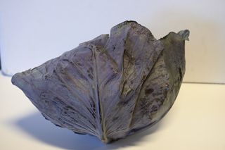 CABBAGE RED LOCALLY GROWN