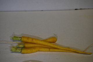 CARROT YELLOW BABY LOCAL - 500GM BAG