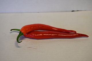 CHILLI RED - NEW ZEALAND