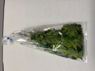 CURRY LEAVES 100GM