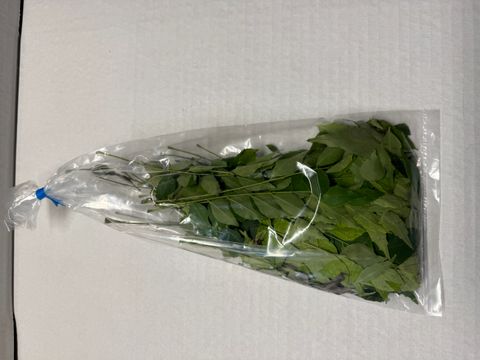 CURRY LEAVES 100GM