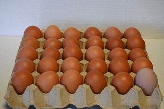 EGGS 30 COUNT TRAY FREE RANGE - CENTRAL GOLD LOCAL