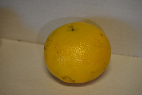 GRAPEFRUIT USA IMPORT