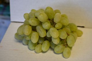 GRAPES GREEN - USA