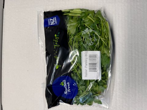 ITALIAN PARLSEY- HERB