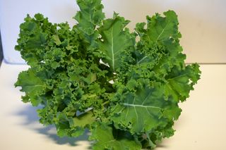 KALE HYDRO - LOCALLY GROWN