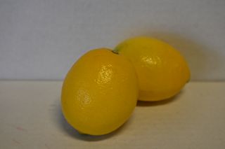 LEMONS MEYER   - USA
