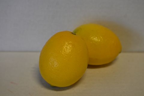 LEMONS MEYER   - NEW ZEALAND