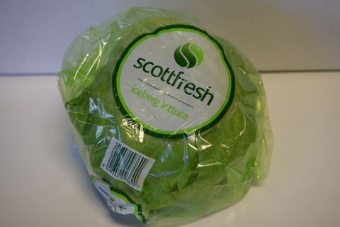 LETTUCE ICEBERG - PREPACKED BAG