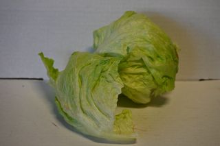LETTUCE  ICEBERG LOOSE - LOCAL
