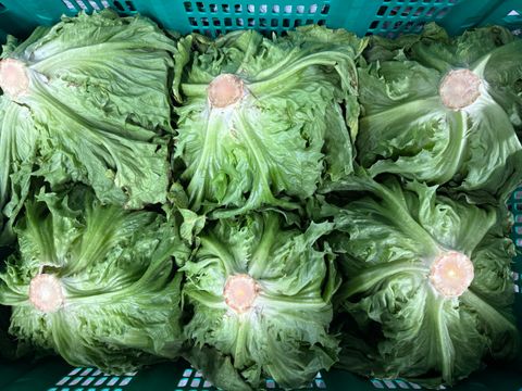 LETTUCE ICEBERG NAKED - 6 COUNT