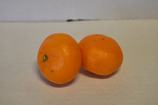 MANDARIN NEW ZEALAND